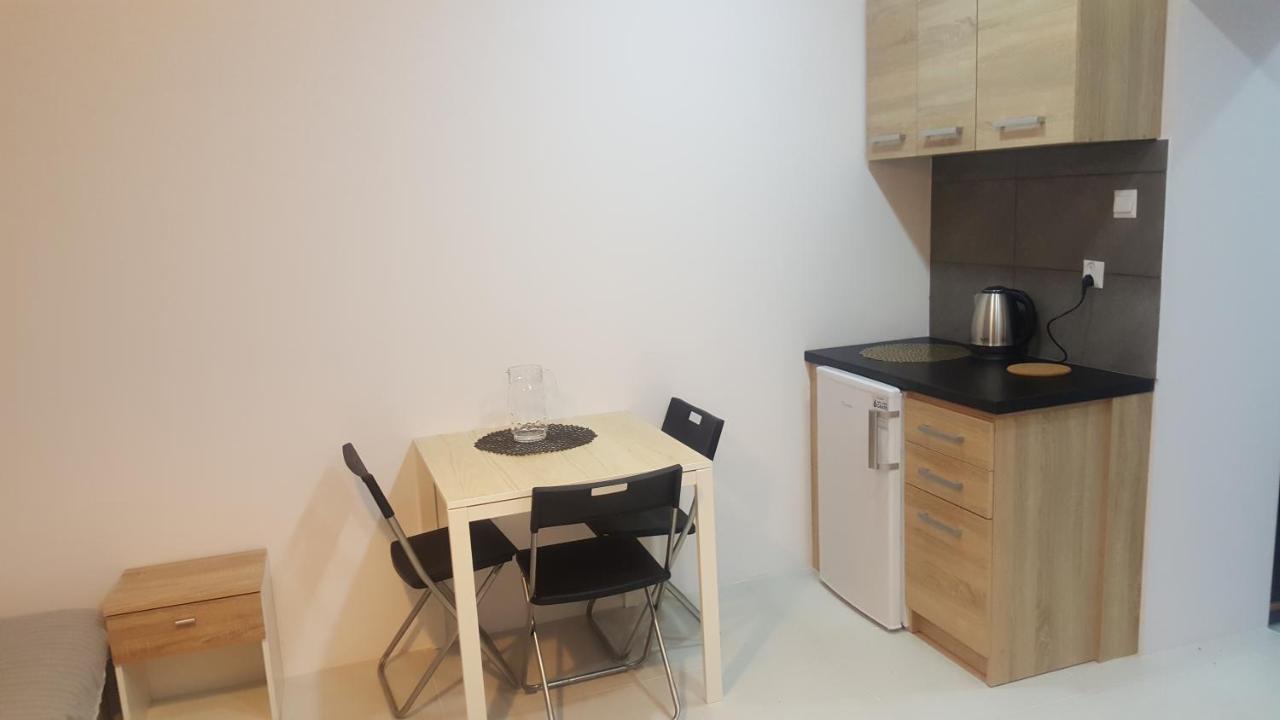 Rokicinska54 Com Apartamento Łódź Exterior foto