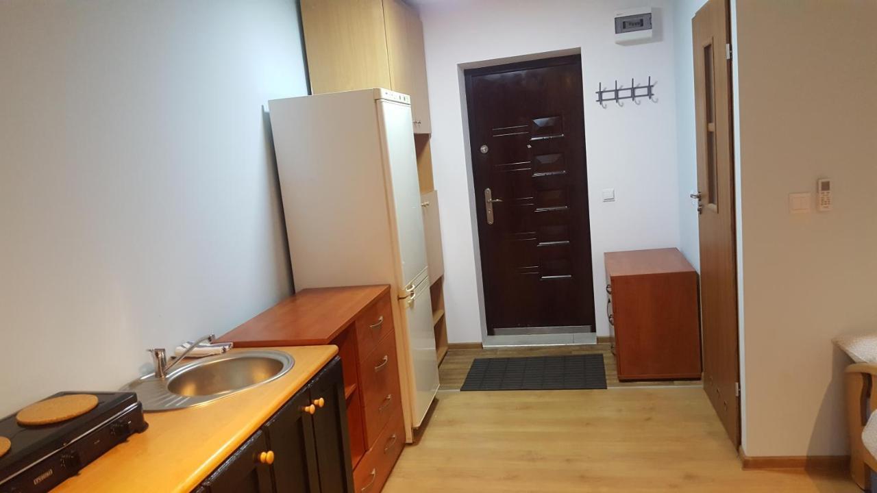 Rokicinska54 Com Apartamento Łódź Exterior foto